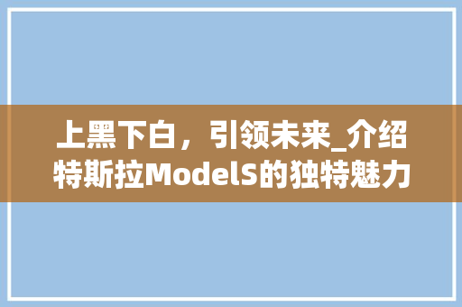 上黑下白，引领未来_介绍特斯拉ModelS的独特魅力