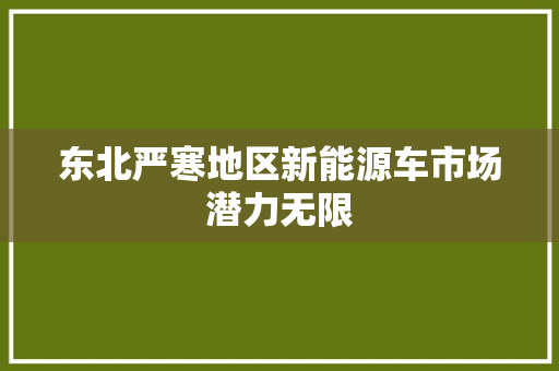 东北严寒地区新能源车市场潜力无限