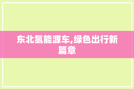 东北氢能源车,绿色出行新篇章
