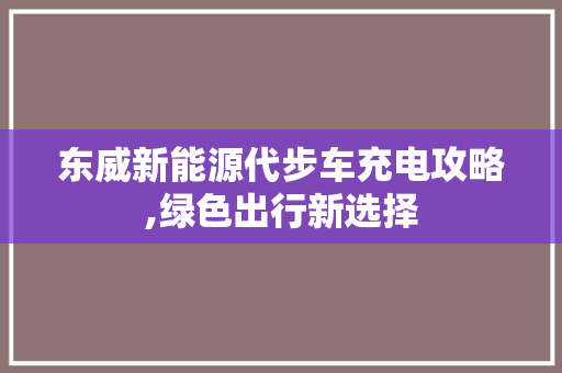 东威新能源代步车充电攻略,绿色出行新选择