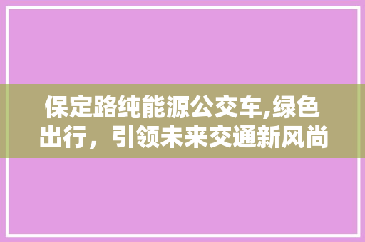 保定路纯能源公交车,绿色出行，引领未来交通新风尚