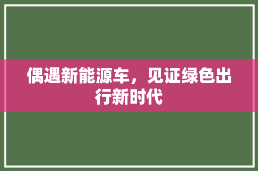 偶遇新能源车，见证绿色出行新时代