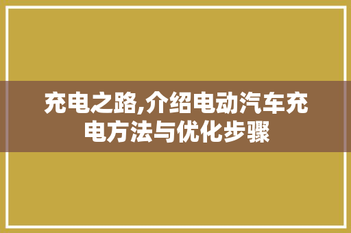 充电之路,介绍电动汽车充电方法与优化步骤