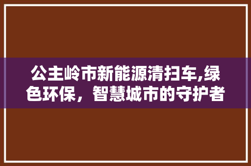 公主岭市新能源清扫车,绿色环保，智慧城市的守护者