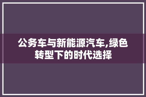 公务车与新能源汽车,绿色转型下的时代选择