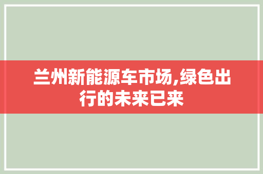 兰州新能源车市场,绿色出行的未来已来