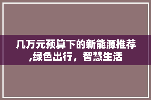 几万元预算下的新能源推荐,绿色出行，智慧生活