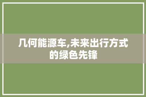 几何能源车,未来出行方式的绿色先锋