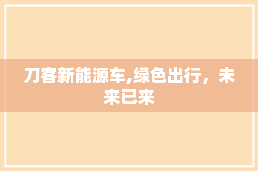刀客新能源车,绿色出行，未来已来