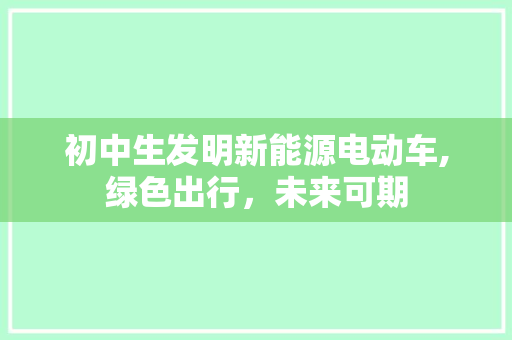 初中生发明新能源电动车,绿色出行，未来可期