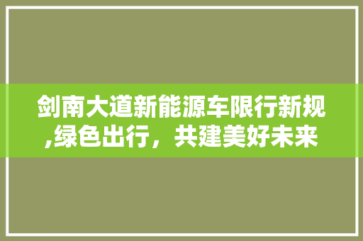 剑南大道新能源车限行新规,绿色出行，共建美好未来
