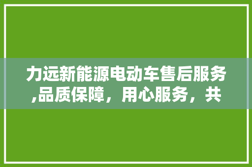 力远新能源电动车售后服务,品质保障，用心服务，共创绿色出行新篇章