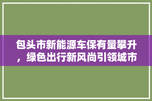 包头市新能源车保有量攀升，绿色出行新风尚引领城市发展