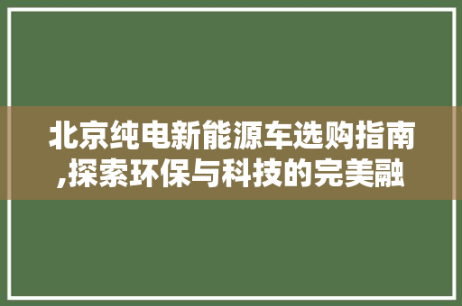 北京纯电新能源车选购指南,探索环保与科技的完美融合