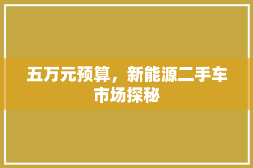 五万元预算，新能源二手车市场探秘