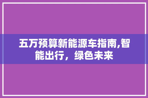 五万预算新能源车指南,智能出行，绿色未来