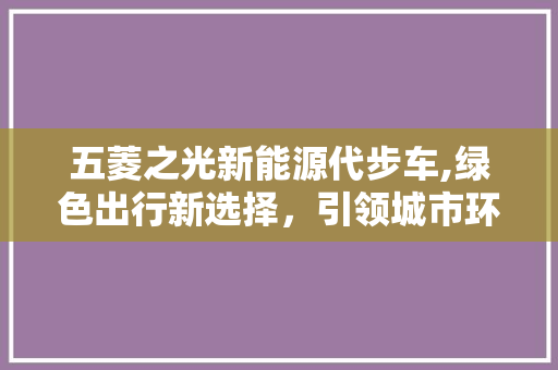 五菱之光新能源代步车,绿色出行新选择，引领城市环保风尚