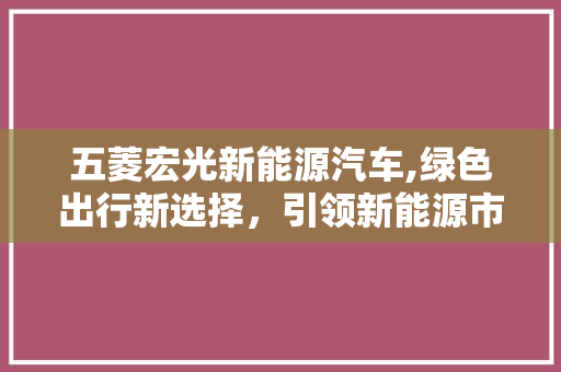 五菱宏光新能源汽车,绿色出行新选择，引领新能源市场新潮流