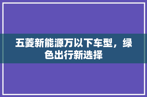 五菱新能源万以下车型，绿色出行新选择