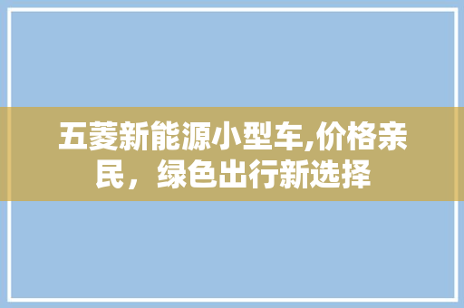 五菱新能源小型车,价格亲民，绿色出行新选择