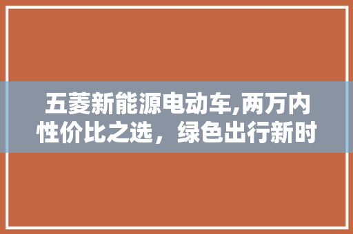 五菱新能源电动车,两万内性价比之选，绿色出行新时尚