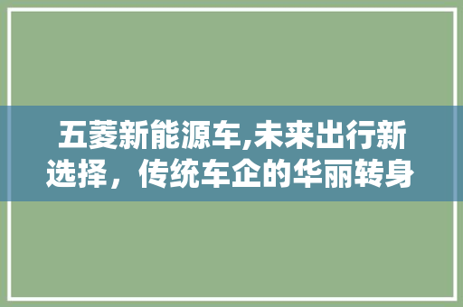 五菱新能源车,未来出行新选择，传统车企的华丽转身