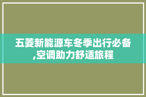 五菱新能源车冬季出行必备,空调助力舒适旅程