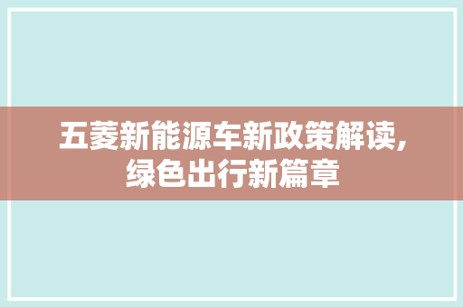 五菱新能源车新政策解读,绿色出行新篇章
