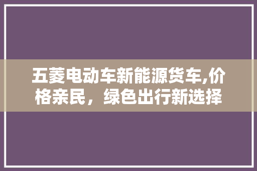 五菱电动车新能源货车,价格亲民，绿色出行新选择