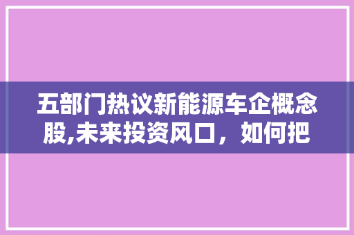 五部门热议新能源车企概念股,未来投资风口，如何把握先机