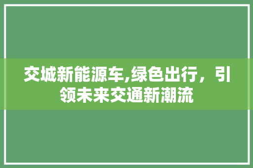 交城新能源车,绿色出行，引领未来交通新潮流