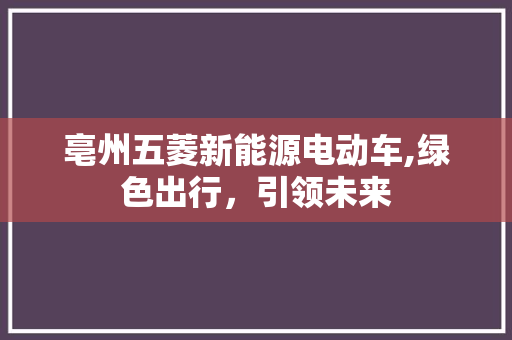 亳州五菱新能源电动车,绿色出行，引领未来