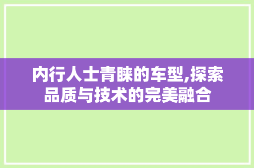 内行人士青睐的车型,探索品质与技术的完美融合