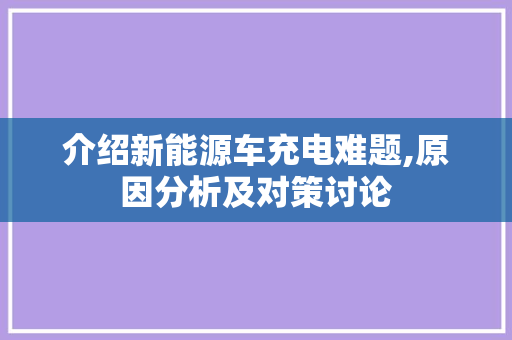 介绍新能源车充电难题,原因分析及对策讨论