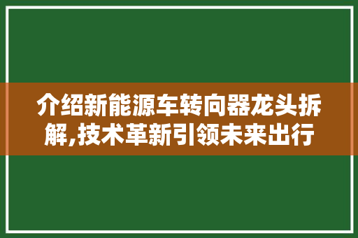 介绍新能源车转向器龙头拆解,技术革新引领未来出行新风尚