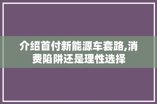 介绍首付新能源车套路,消费陷阱还是理性选择