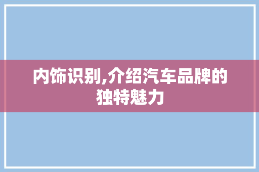 内饰识别,介绍汽车品牌的独特魅力