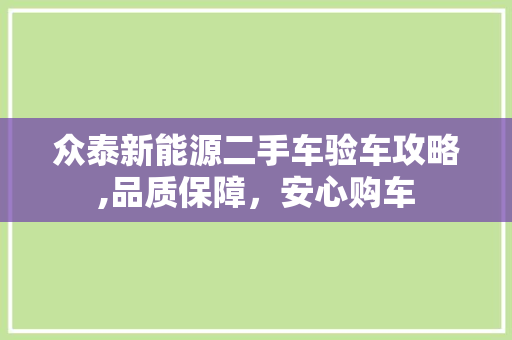 众泰新能源二手车验车攻略,品质保障，安心购车