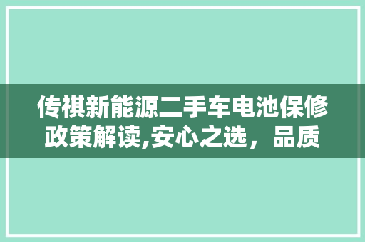 传祺新能源二手车电池保修政策解读,安心之选，品质保障