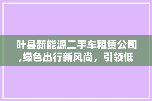 叶县新能源二手车租赁公司,绿色出行新风尚，引领低碳生活潮流