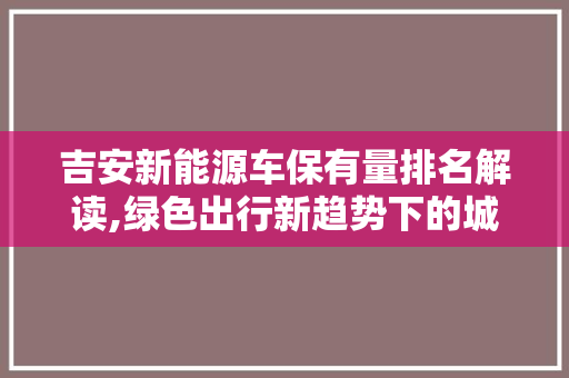 吉安新能源车保有量排名解读,绿色出行新趋势下的城市智慧