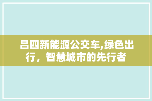 吕四新能源公交车,绿色出行，智慧城市的先行者
