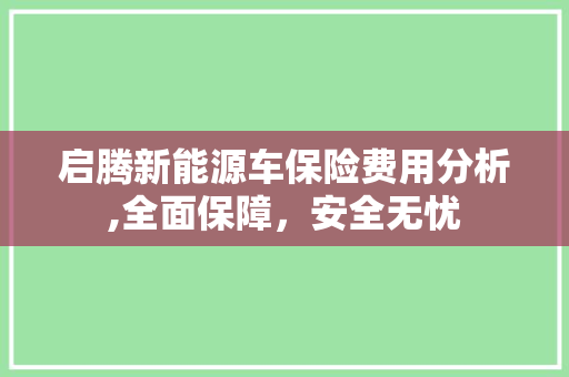 启腾新能源车保险费用分析,全面保障，安全无忧