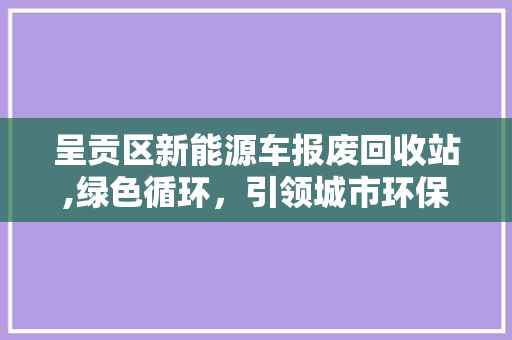 呈贡区新能源车报废回收站,绿色循环，引领城市环保新风尚