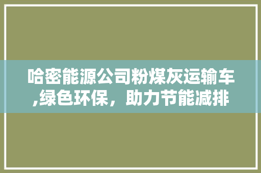 哈密能源公司粉煤灰运输车,绿色环保，助力节能减排