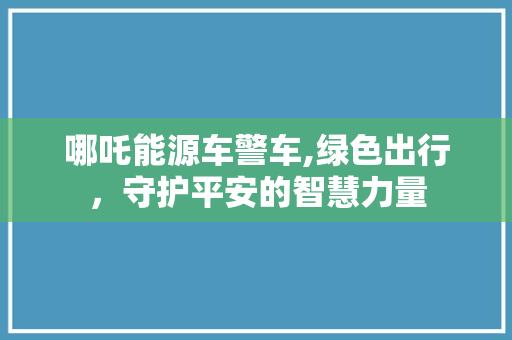 哪吒能源车警车,绿色出行，守护平安的智慧力量