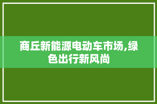 商丘新能源电动车市场,绿色出行新风尚