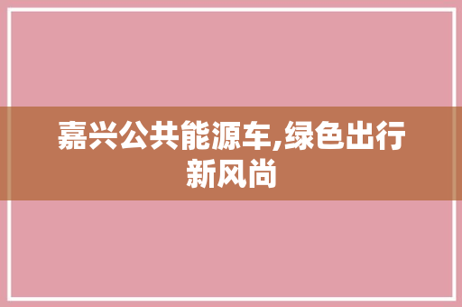 嘉兴公共能源车,绿色出行新风尚