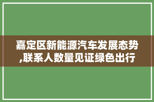 嘉定区新能源汽车发展态势,联系人数量见证绿色出行新篇章