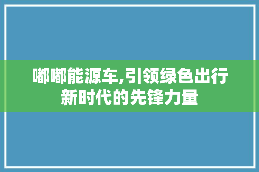 嘟嘟能源车,引领绿色出行新时代的先锋力量